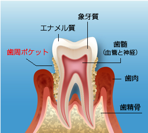 犬山市・ごろうまる歯科